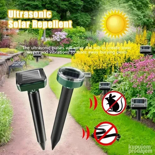RÁGGÁCSOK ÉS ROVAROK NAPRISZTŐE